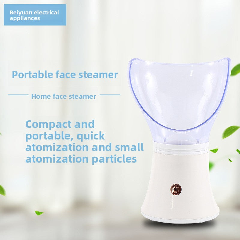Portable Ion Steam Face Steamer