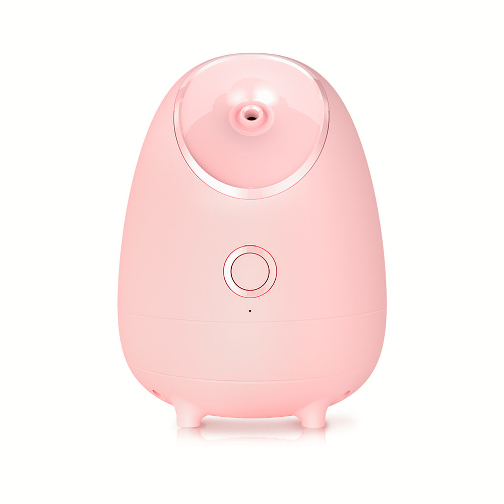 Face steamer